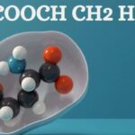 HCOOCH CH2 H2O