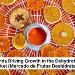 Dehydrated Fruits Market